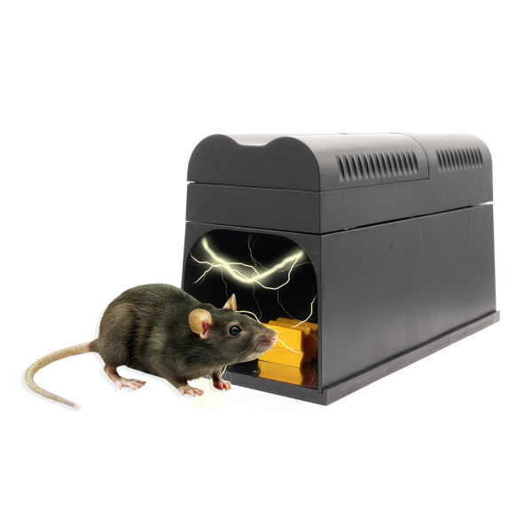 Appat Aromatise Pour Rat Et Rongeur