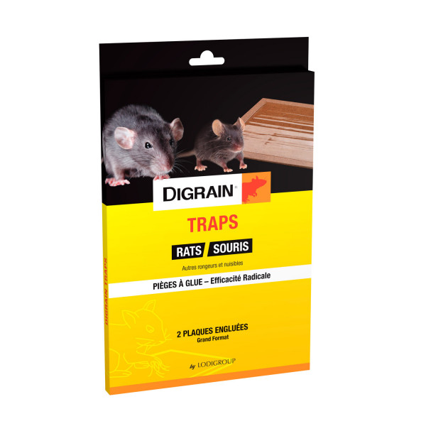 Plaque de Glu Bois pour Rats et Souris