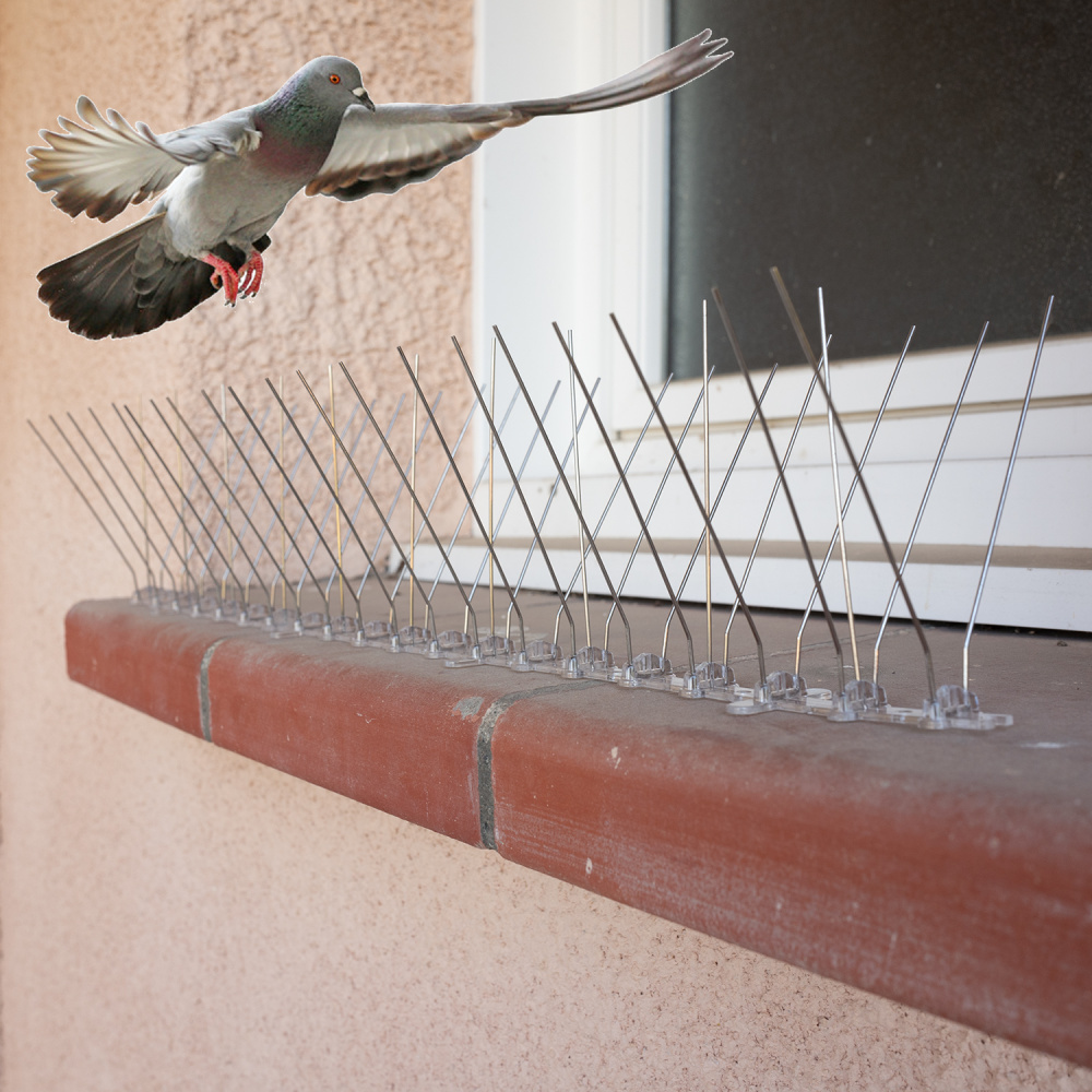 Pics souples anti-oiseaux et pigeons adaptables tous supports