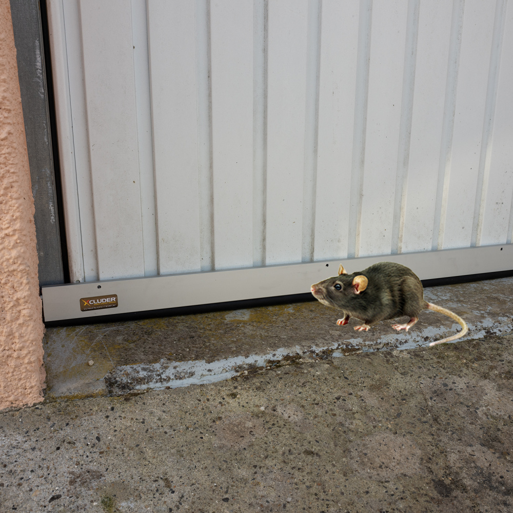 Rouleau De Maille En Acier Inoxydable Répulsif Pour Les Souris, Piège À  Rongeurs En Laine De