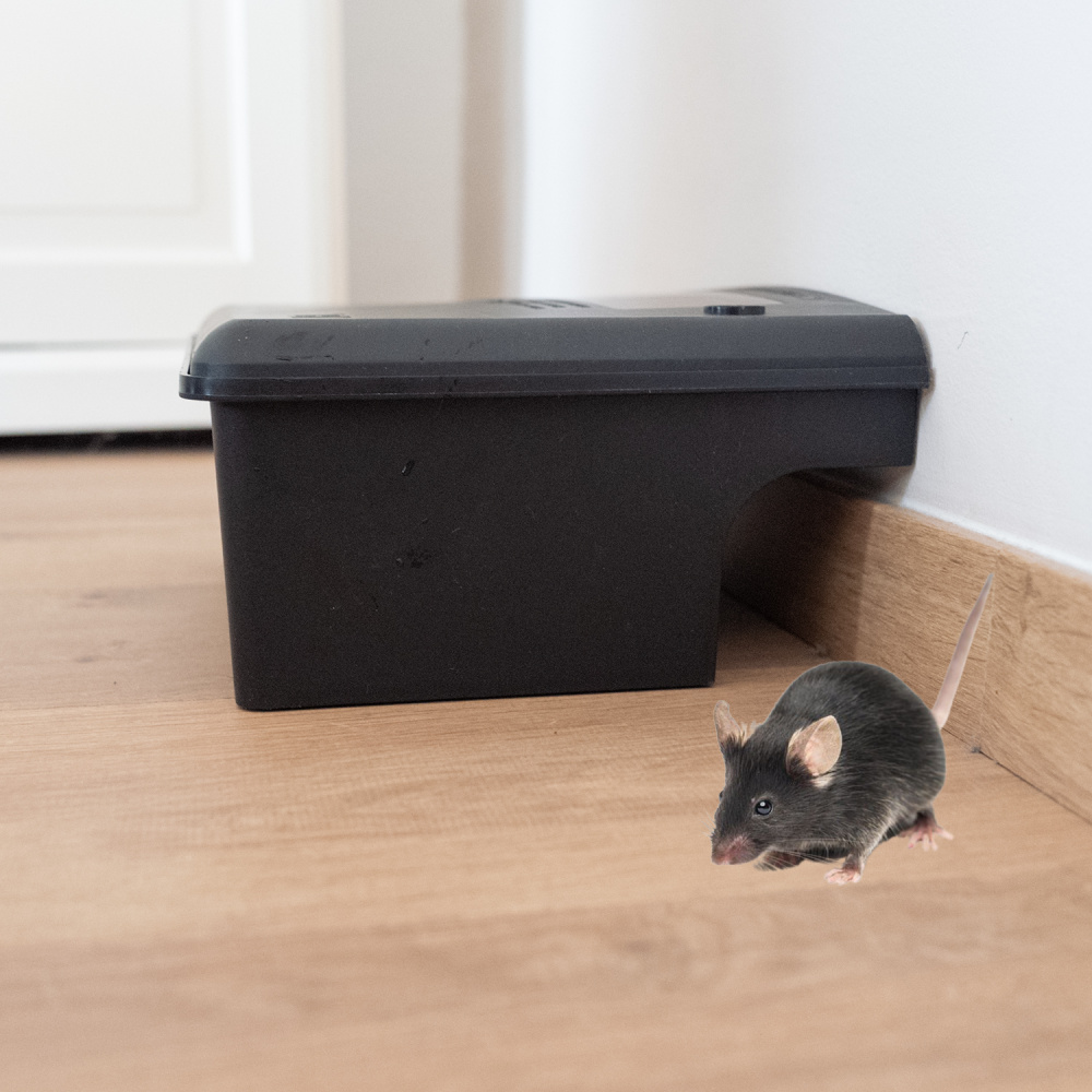 Boîte Appât Rats et Souris – Piège à Rats Professionnel – Station