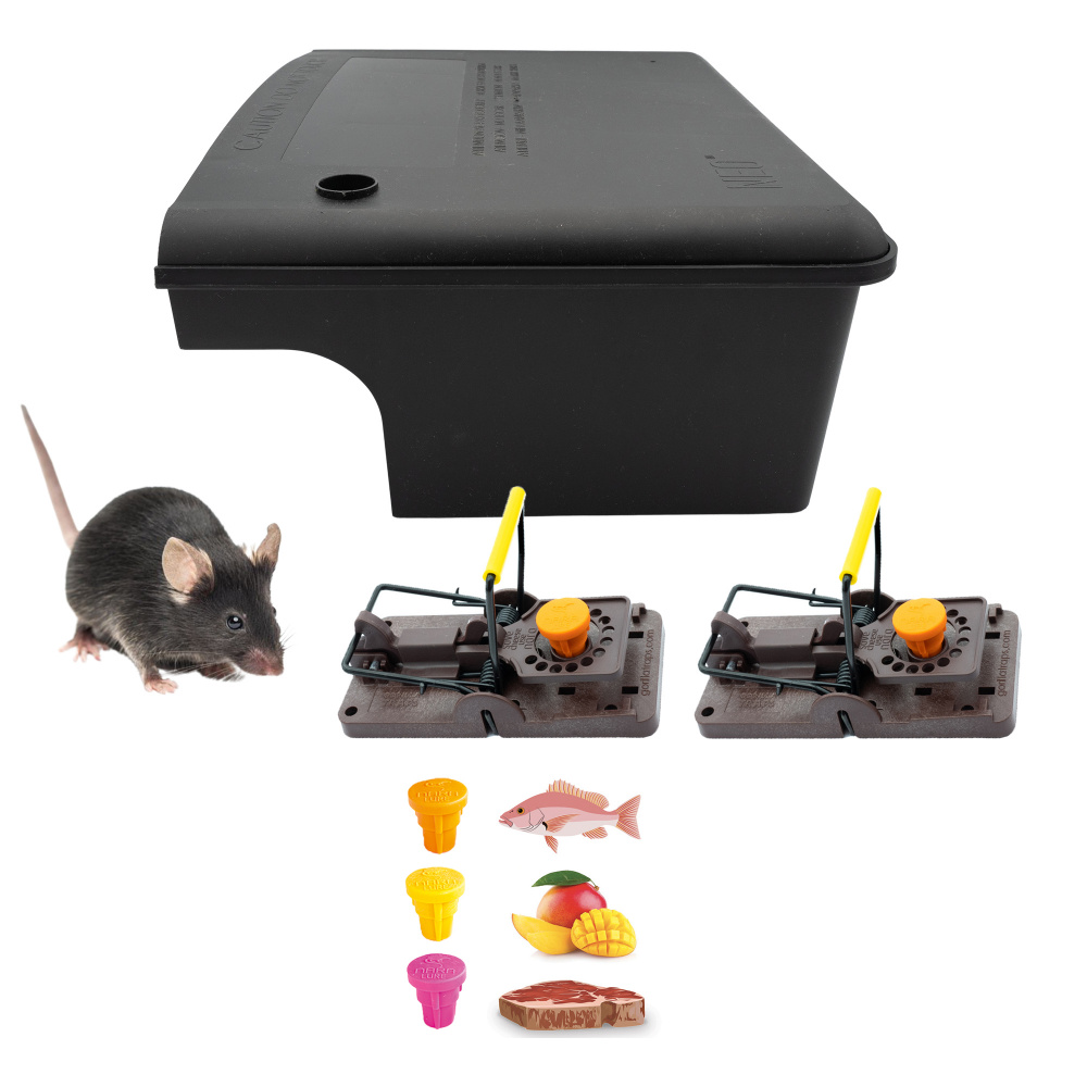 Pack boîte / Poste à appât anti-rat NEO + 2 pièges Gorilla Trap