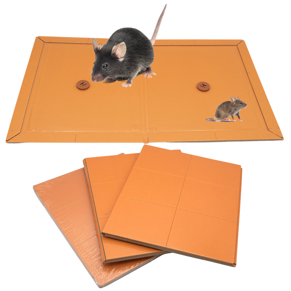 3 pièces Fort Collant Souris Planche Souris Planche Piège Contrôle