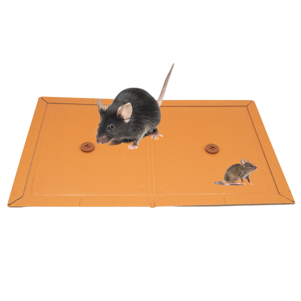 2 plaques de glu professionnelles avec attractif pour rats et souris