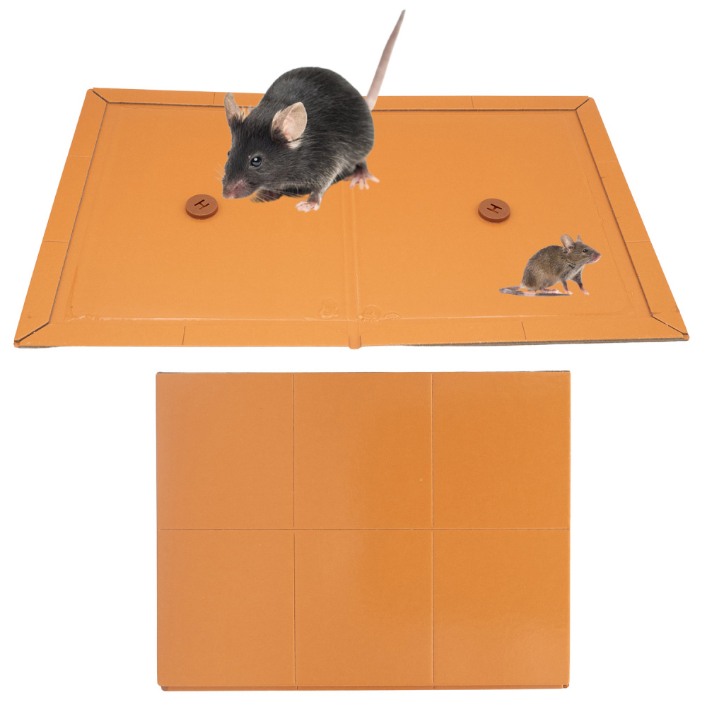 2 plaques de glu professionnelles avec attractif pour rats et souris