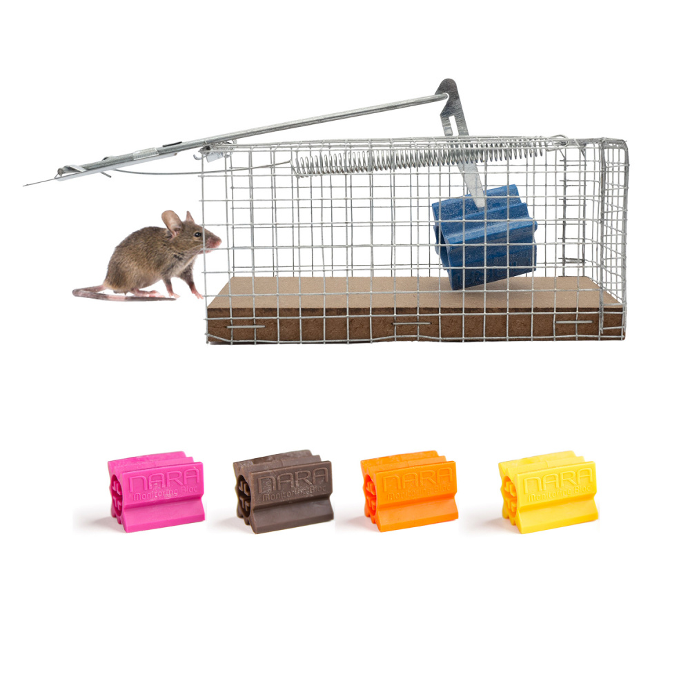 Plaque de glue géante pour rat et souris Catchmaster - piège