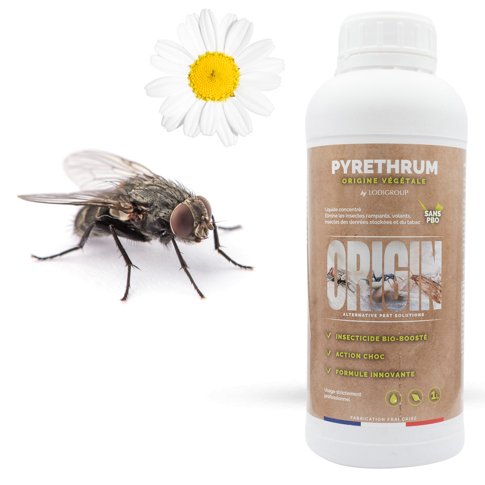 Anti Mouche Naturel Pour Maison Ventana Blog
