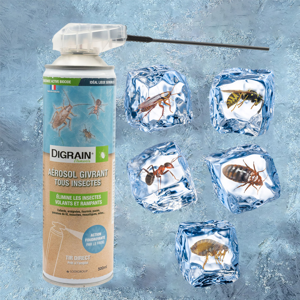 Aérosol professionnel givrant Digrain anti-insectes naturel