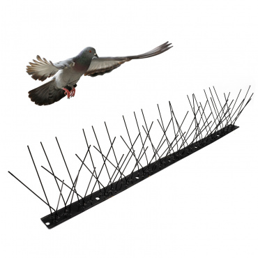 Pics en métal noir inoxydable anti-pigeons et oiseaux