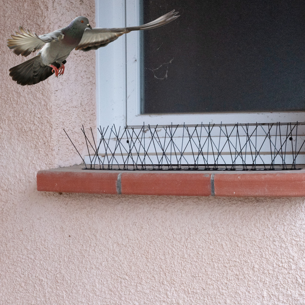 Lot de 8 répulsifs Anti-Pigeons en Acier Inoxydable pour Balcon, Toit et  fenêtre - Protection Contre Les Oiseaux - pour Le Jardin fruitier.