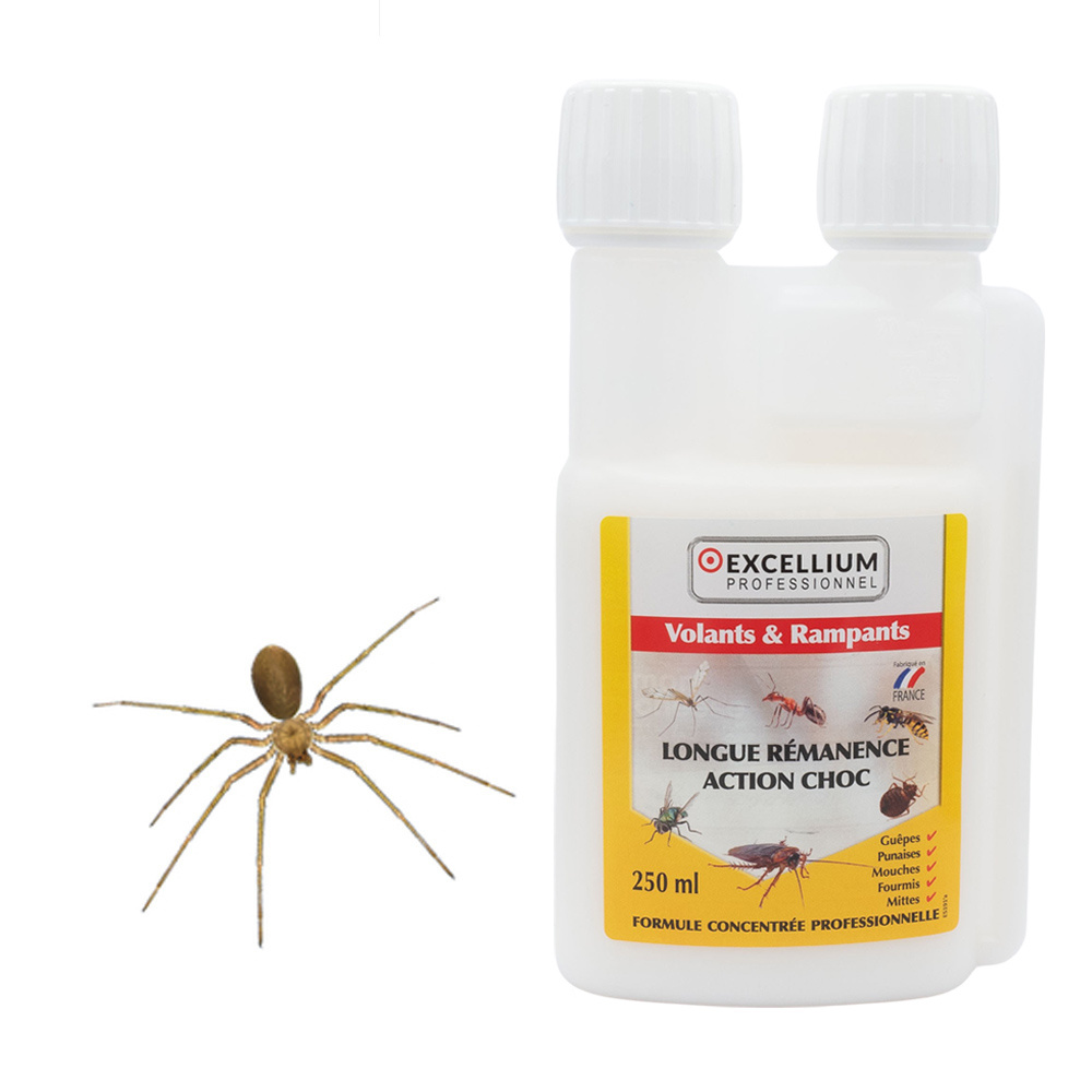 Insecticide anti-araignées Excellium concentré professionnel
