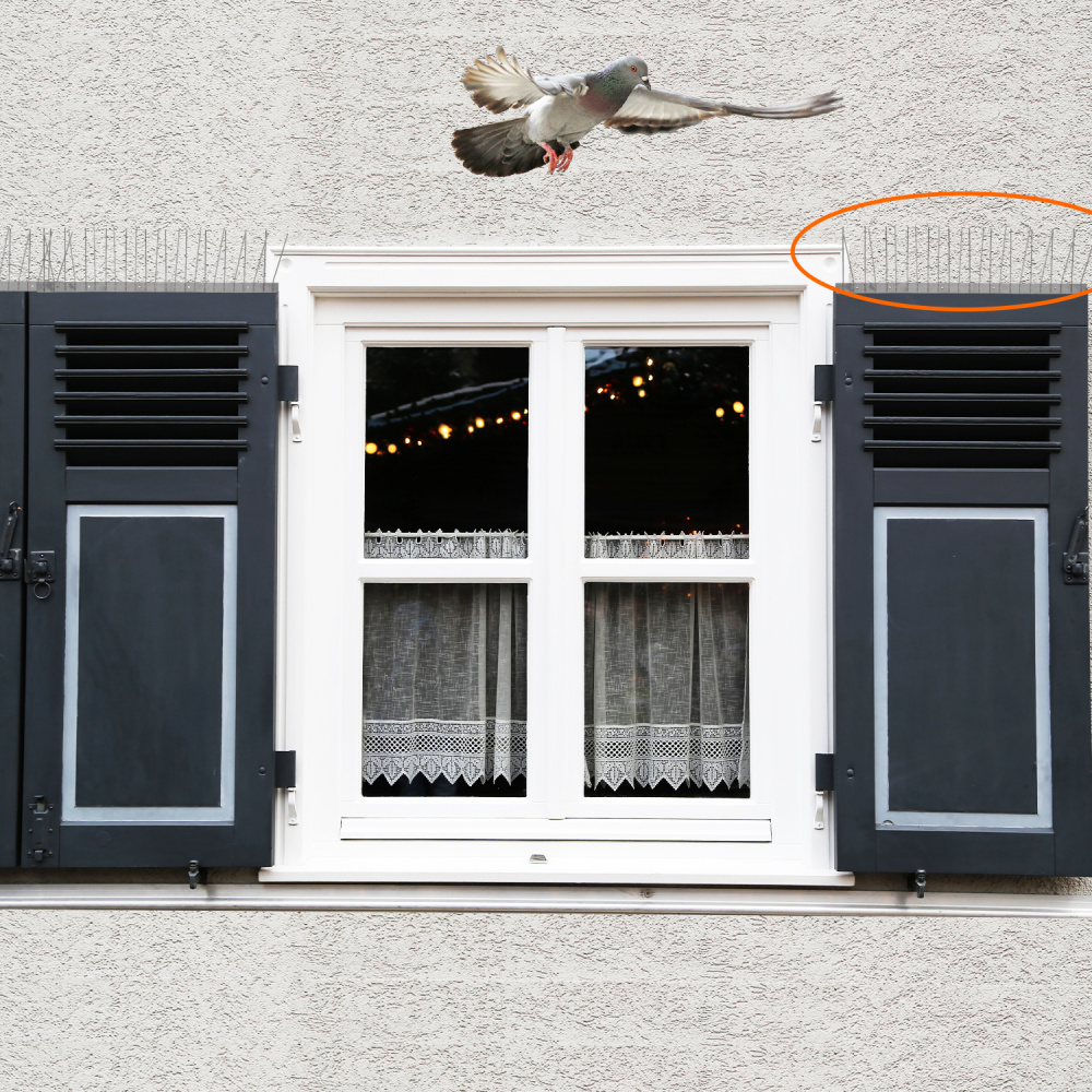 pics-anti-pigeons-anti-oiseaux-protection-volets-et-panneaux-solaires-1-metre.jpg