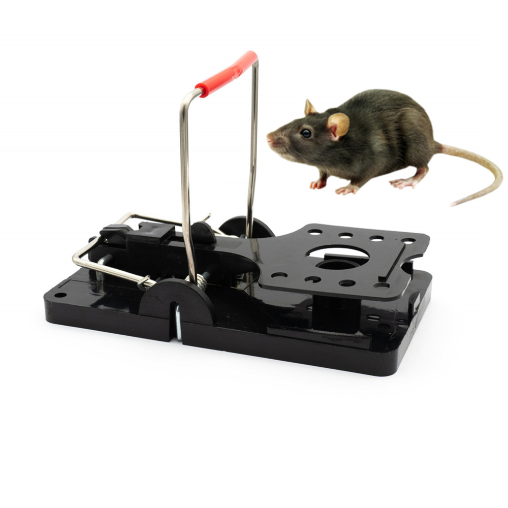 Piège à rat professionnel