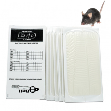 Trapper LTD piège à glue anti-souris lot de 10