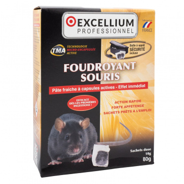 Foudroyant souris Excellium + poste d'appâtage sécurisé incluse