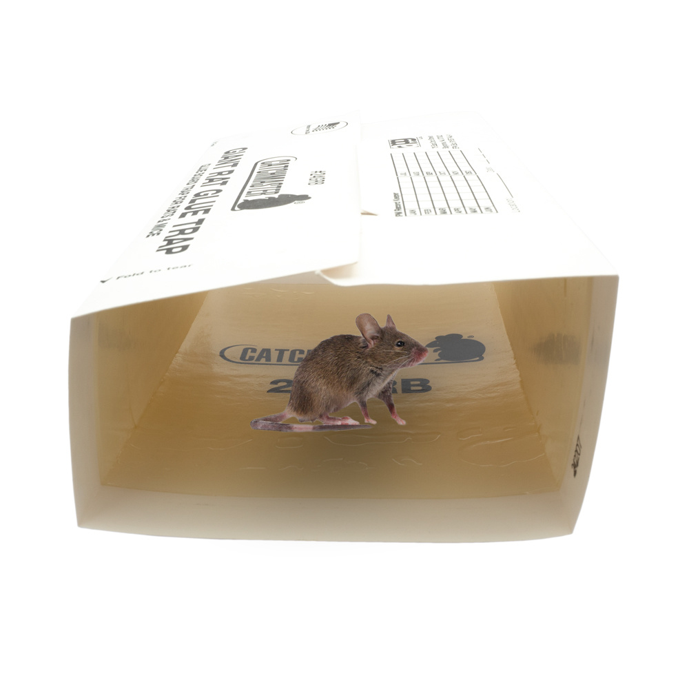 Plaque à glue pour rat et souris Digrain Traps