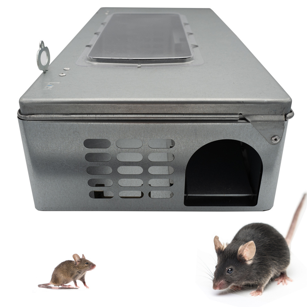 DSNOW Pièges à Rats Piège de Capture Deux Entrées Cage Piege pour Souris  Rongeurs Mulots 39X13X11CM : : Jardin