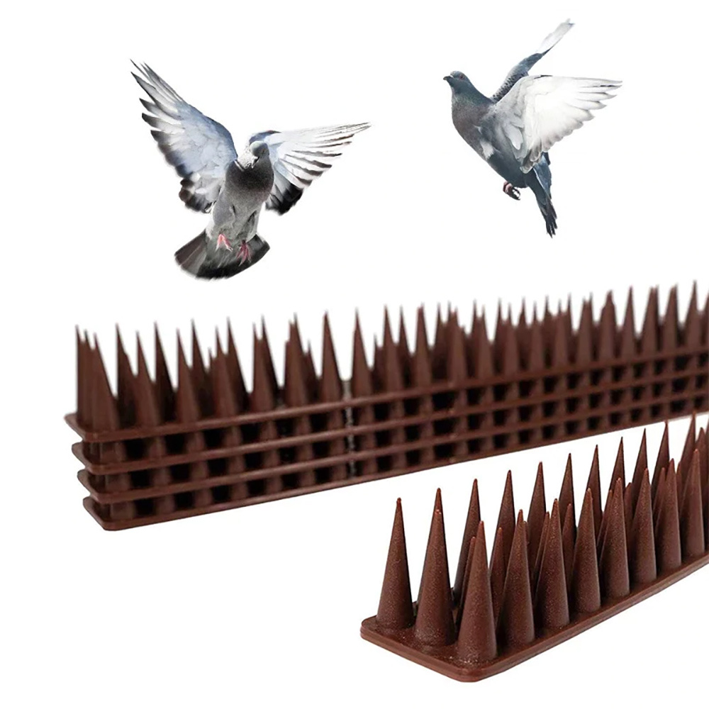 Picots anti pigeons larges, anti oiseaux en acier inoxydable