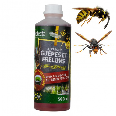 Liquide Attractif Protecta Guêpes & Frelons 500 ml – Recharge piège extérieur longue durée
