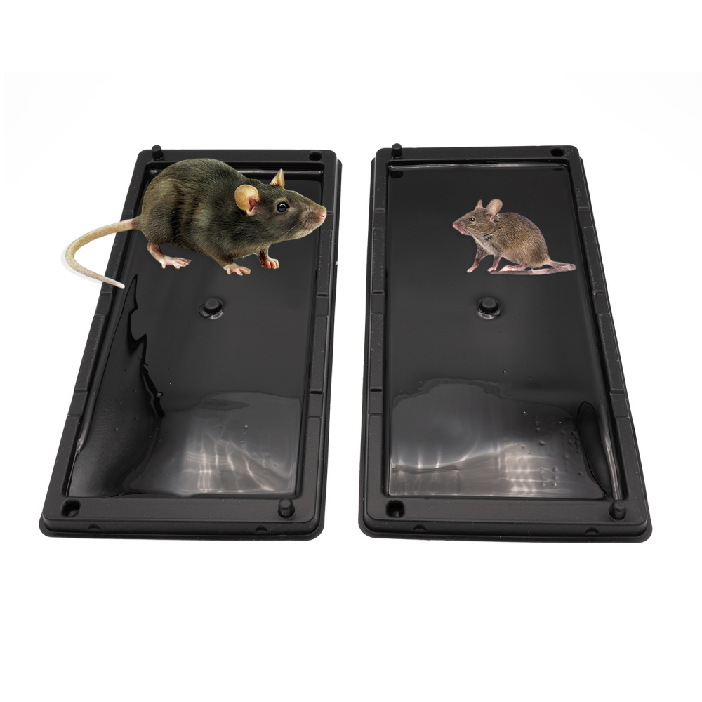 2 Plaques de glue piège à rats Excellium