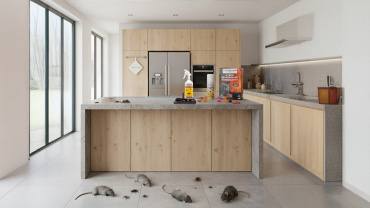 Check-list anti-nuisibles avant l’hiver : 10 gestes simples à faire maintenant