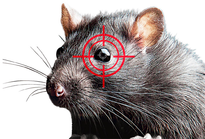 Puissant répulsif ultrasons RETRO rats, souris, rongeurs 280 m2