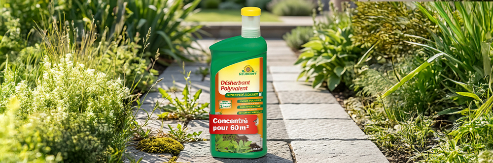 Désherbant Naturel Polyvalent Neudorff – concentré naturel contre les mauvaises herbes 1 L (60m2)