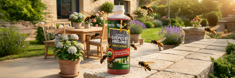 Liquide Attractif Protecta Guêpes & Frelons 500 ml – Recharge piège extérieur longue durée
