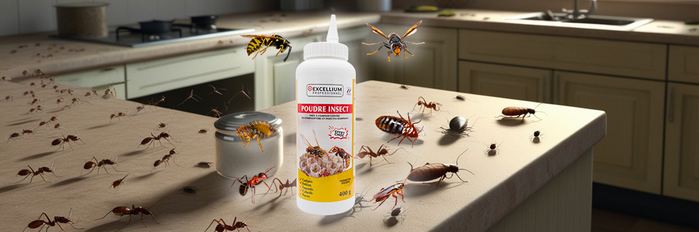 POUDRE' INSECT professionnelle insecticide Excellium Perméthrine flacon 400g