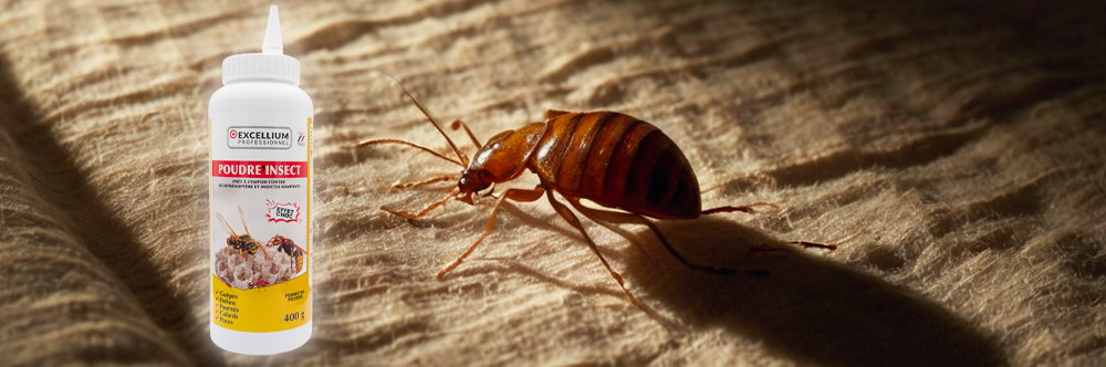 POUDRE' INSECT professionnelle anti-punaises de lit Excellium Perméthrine flacon 400g