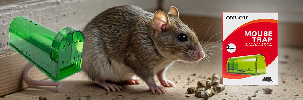 2 pièges de capture PRO-CAT Mouse Trap