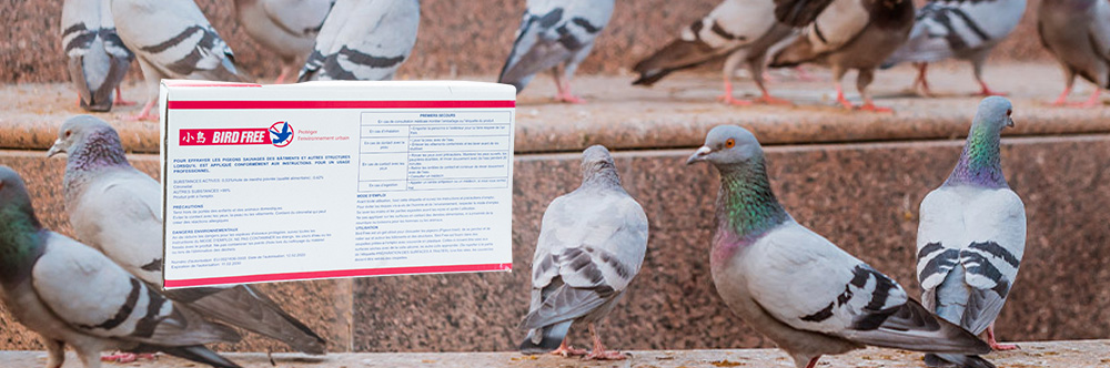 Lot de 15 répulsifs pigeons Bird Free