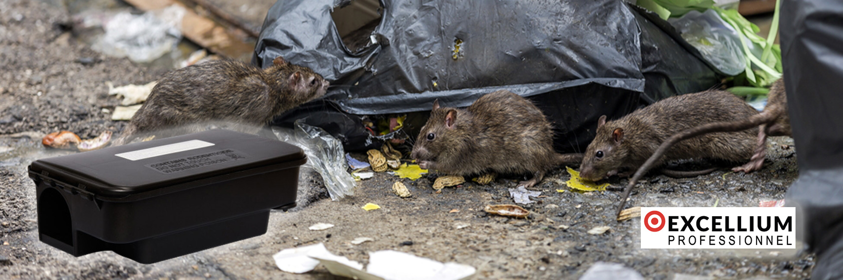 Poste d'appâtage pour rats Small Rato