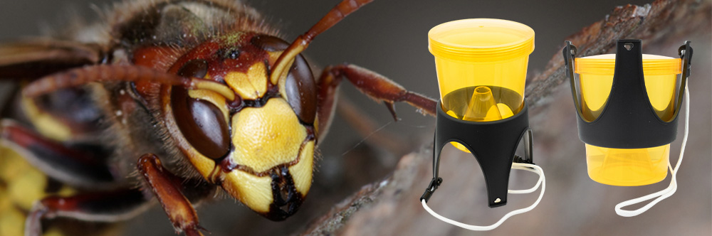 Piège à guêpes multifonctionnel W-trap Insective