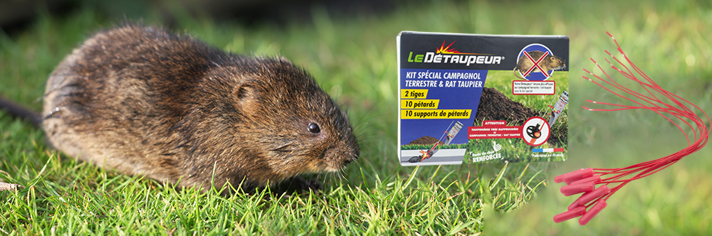 LE DÉTAUPEUR – Kit Spécial Campagnol Terrestre / Rat Taupier